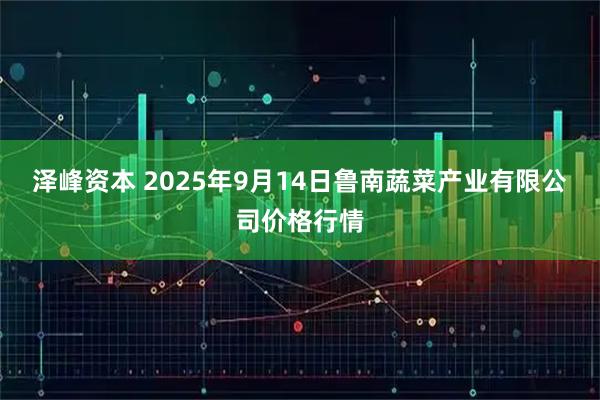 泽峰资本 2025年9月14日鲁南蔬菜产业有限公司价格行情