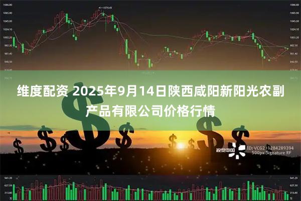 维度配资 2025年9月14日陕西咸阳新阳光农副产品有限公司价格行情