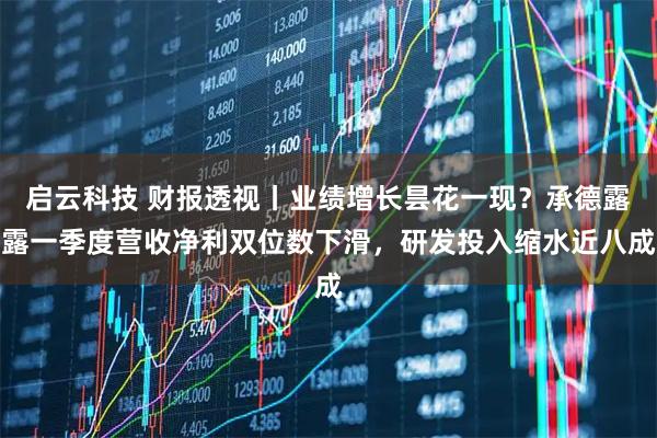 启云科技 财报透视丨业绩增长昙花一现？承德露露一季度营收净利双位数下滑，研发投入缩水近八成