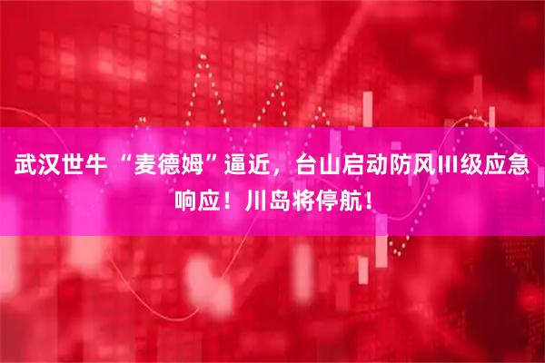 武汉世牛 “麦德姆”逼近，台山启动防风Ⅲ级应急响应！川岛将停航！