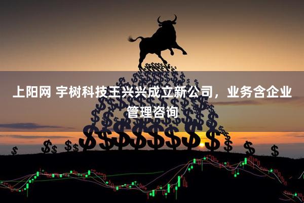 上阳网 宇树科技王兴兴成立新公司，业务含企业管理咨询